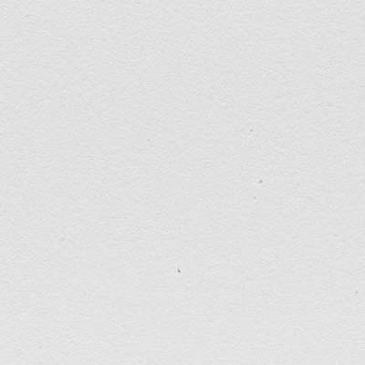 Eames Plastic Armchair RE DAW