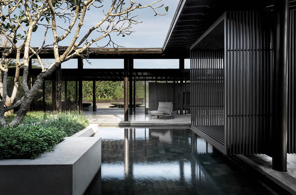 Zenith Lounge Chair Sessel