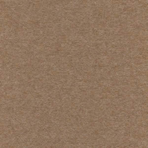 Aluminium Chair EA 117 Cosy 2