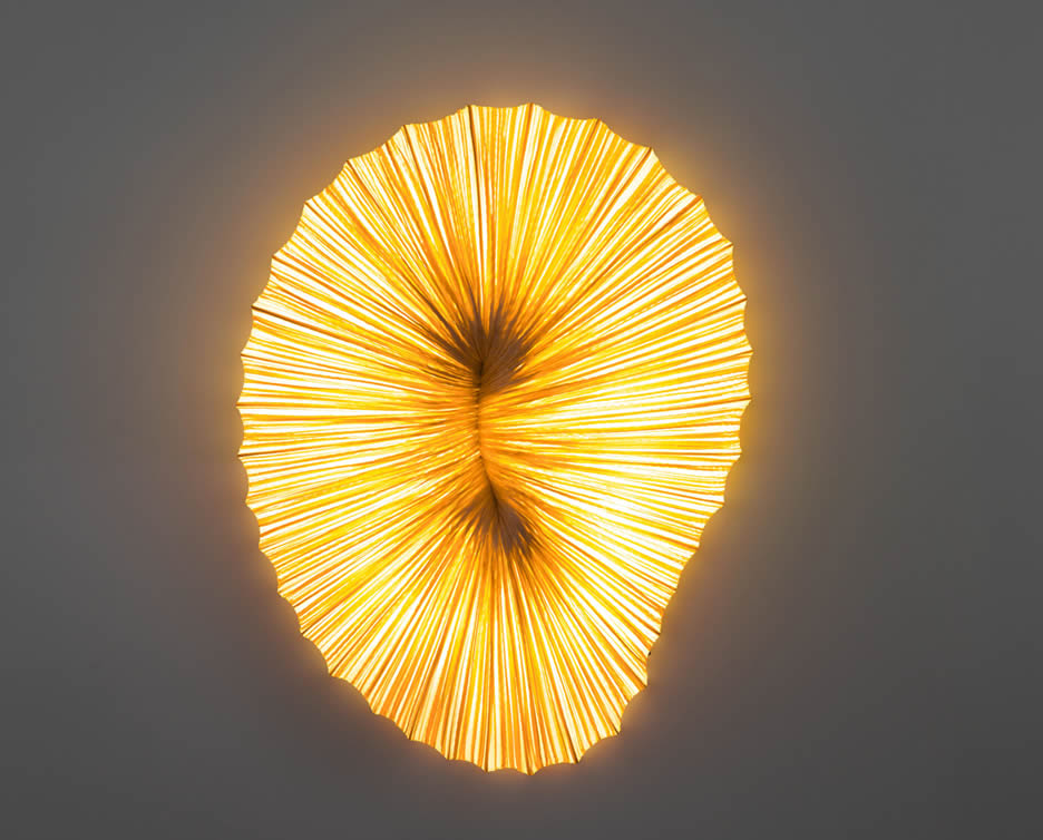 Coral Wand- und Deckenleuchte