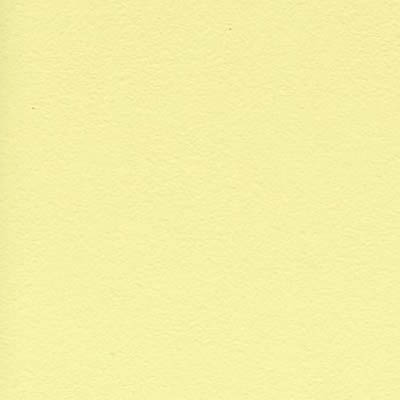 Eames Plastic Side Chair RE DSR