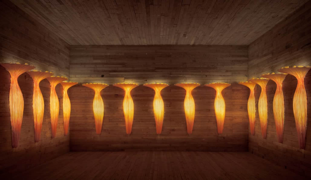 Evening Glory Wandleuchte