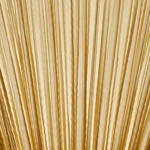 Palm Wand- und Deckenleuchte